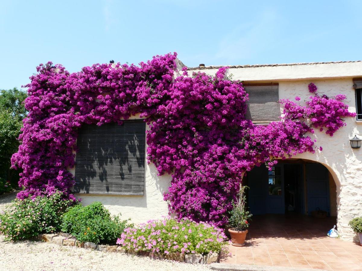 Casa Rural Con Encanto, 4 Hab Con 4 Banos Completos En Suite, Piscina Y Campo Privado Pedreguer Luaran gambar
